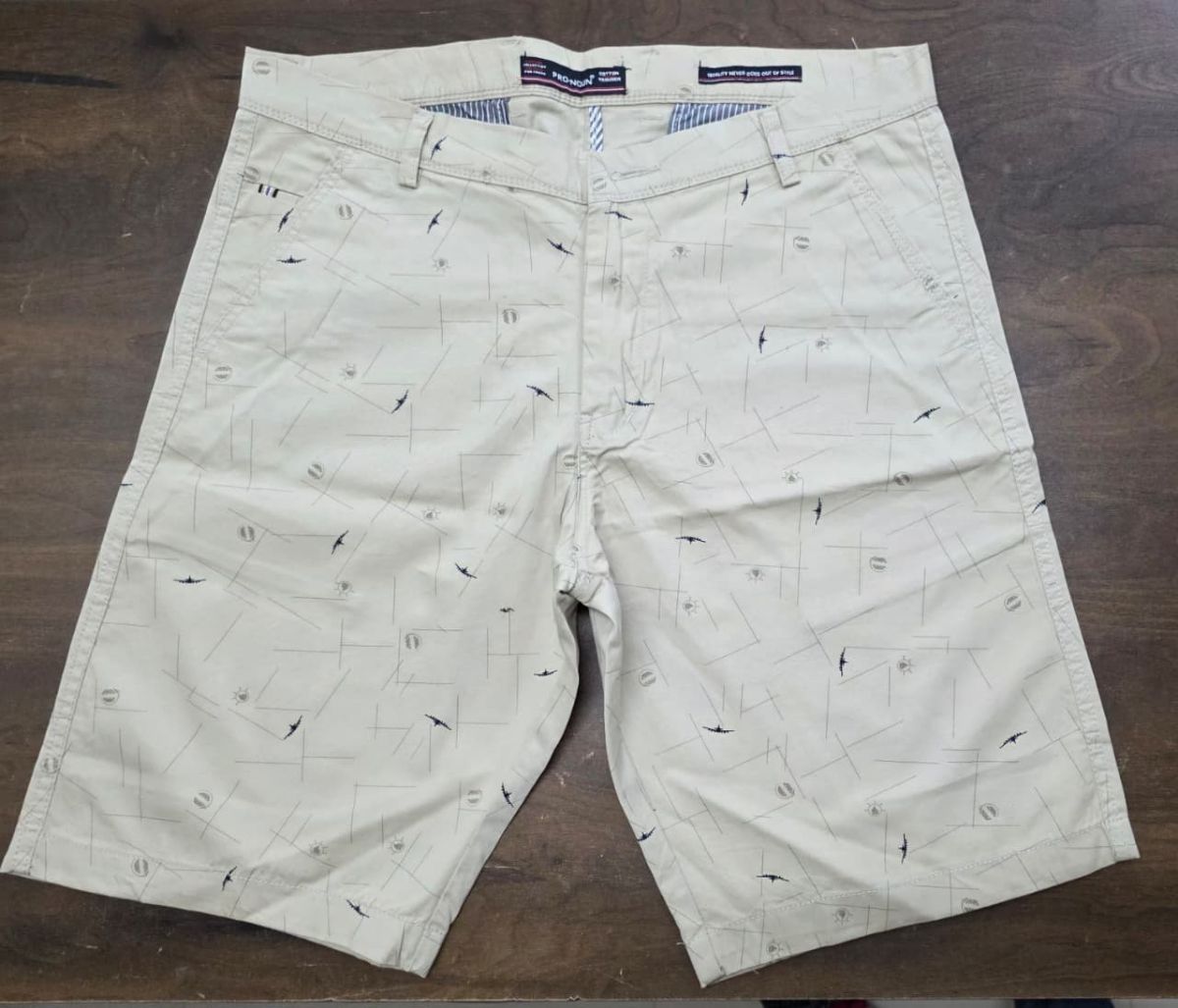 Pro-Noun Men's Shorts - 809 (30-38)